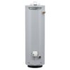 A.O. Smith Signature 100 30-Gallon Tall 6-year Warranty 32000-BTU Natural Gas Water Heater