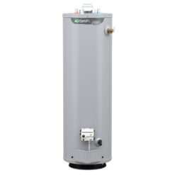 A.O. Smith Signature 100 30-Gallon Tall 6-year Warranty 32000-BTU Natural Gas Water Heater