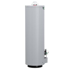 A.O. Smith Signature 100 30-Gallon Tall 6-year Warranty 32000-BTU Natural Gas Water Heater