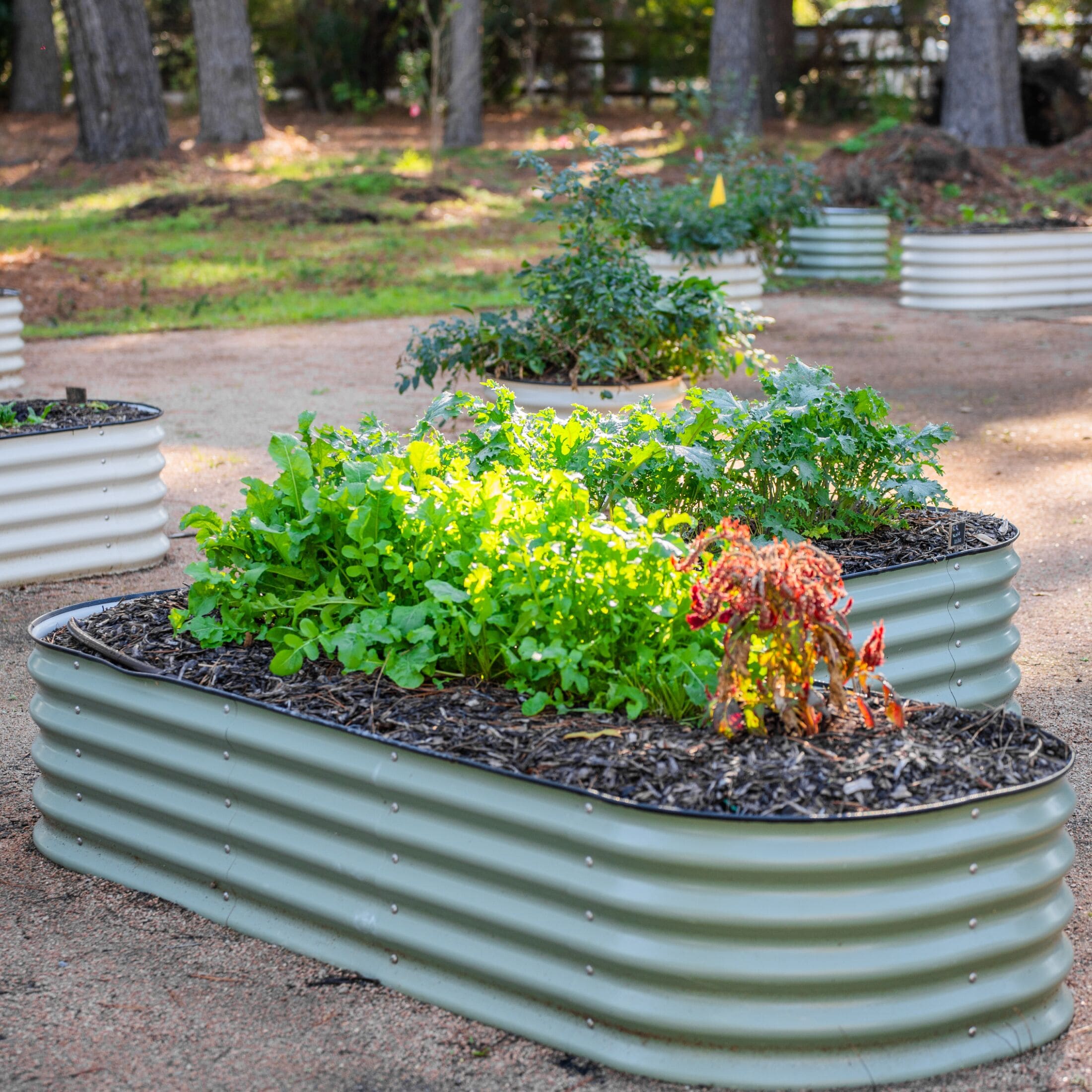 Vego Garden 41-cu ft 84-in W x 84-in L x 17-in H Olive Green Galvanized Metal Raised Garden Bed