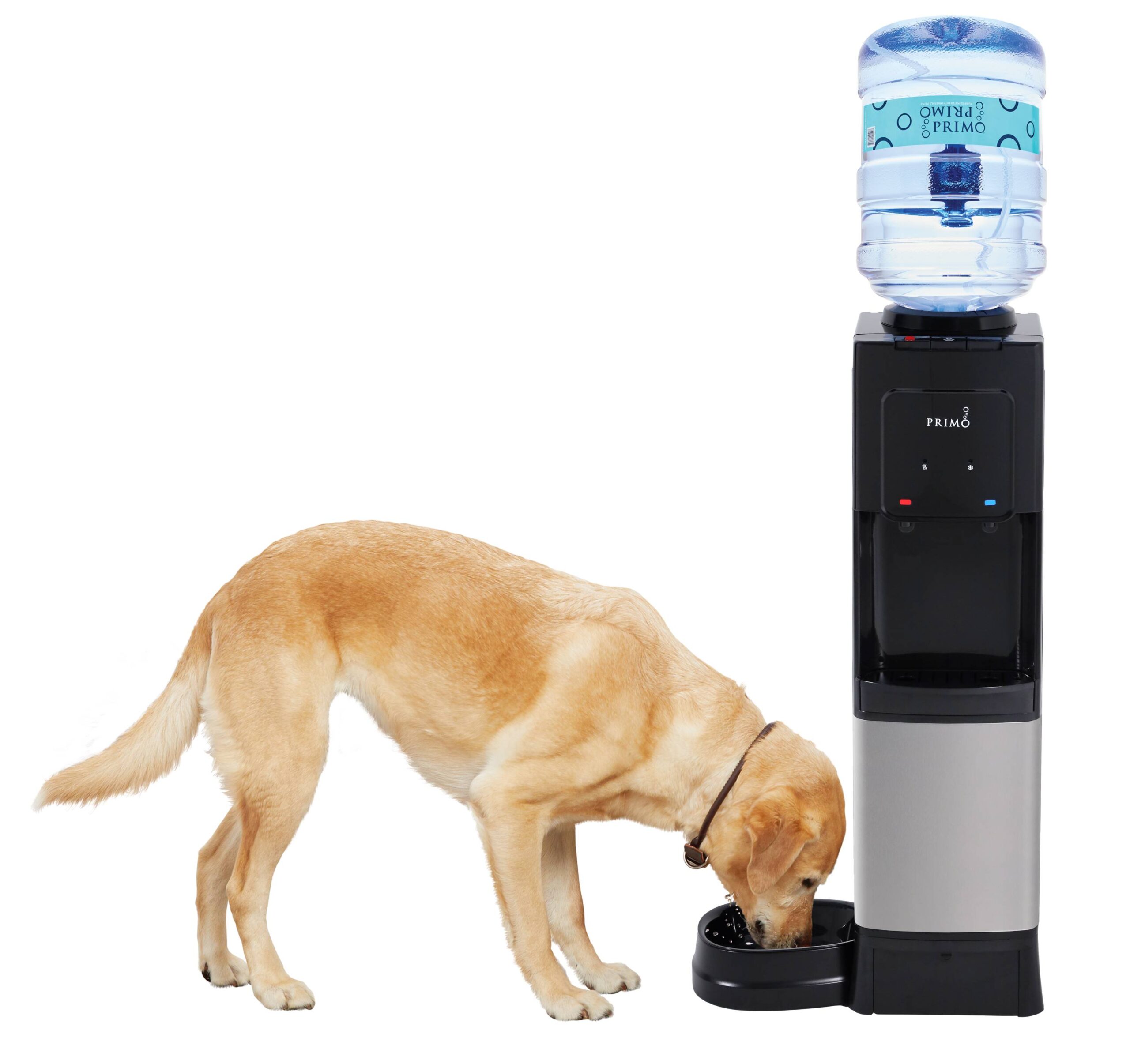Primo Black Water cooler