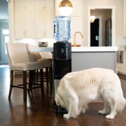 Primo Black Water cooler