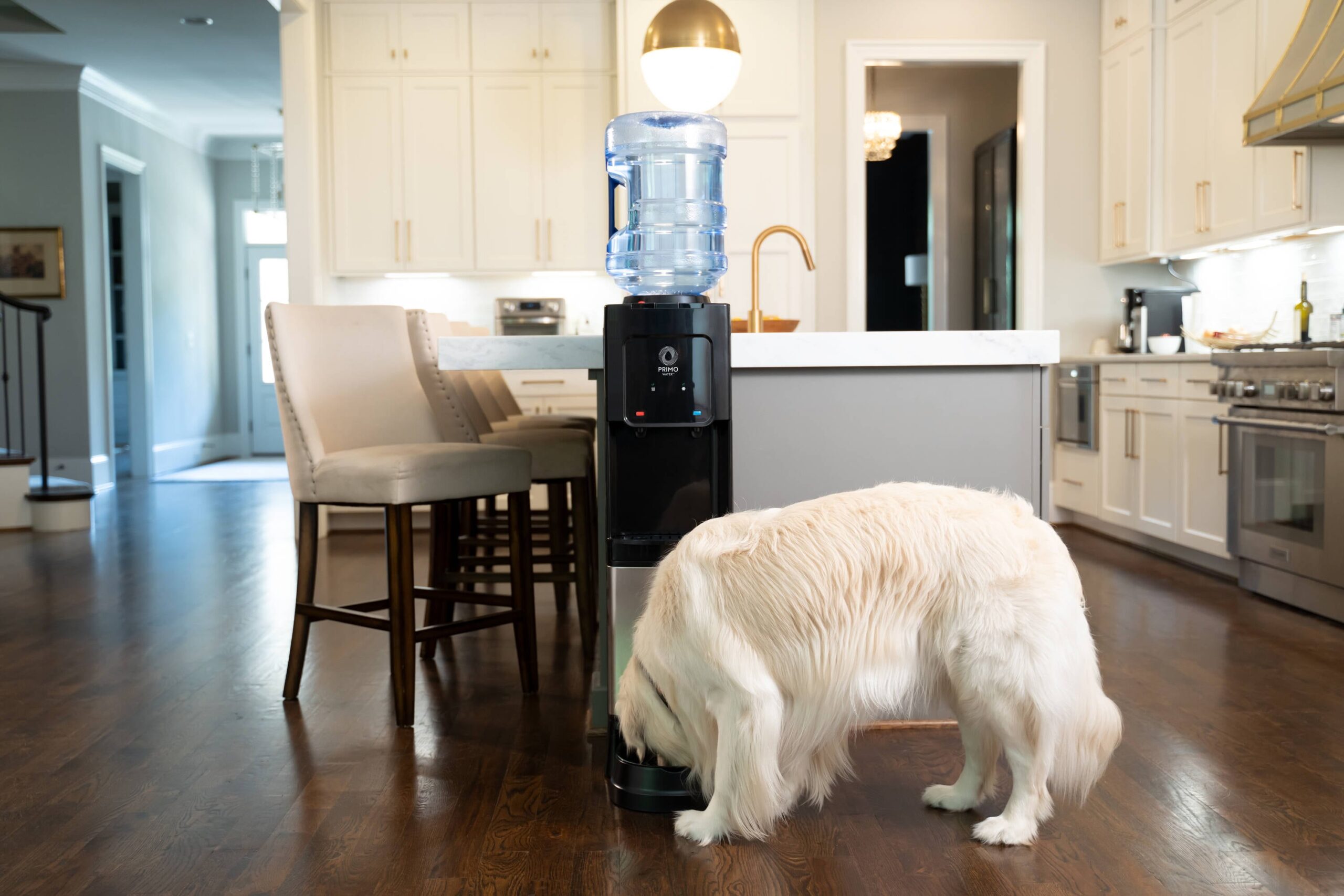 Primo Black Water cooler