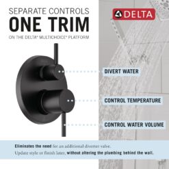 Delta Modern Matte Black 2-handle Single function 10-Inches Round Shower Faucet with Valve