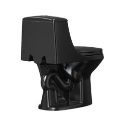 Project Source Laporte Black Dual Flush Elongated Chair height 1-piece Toilet 12-in Rough-In WaterSense 1.6 GPF