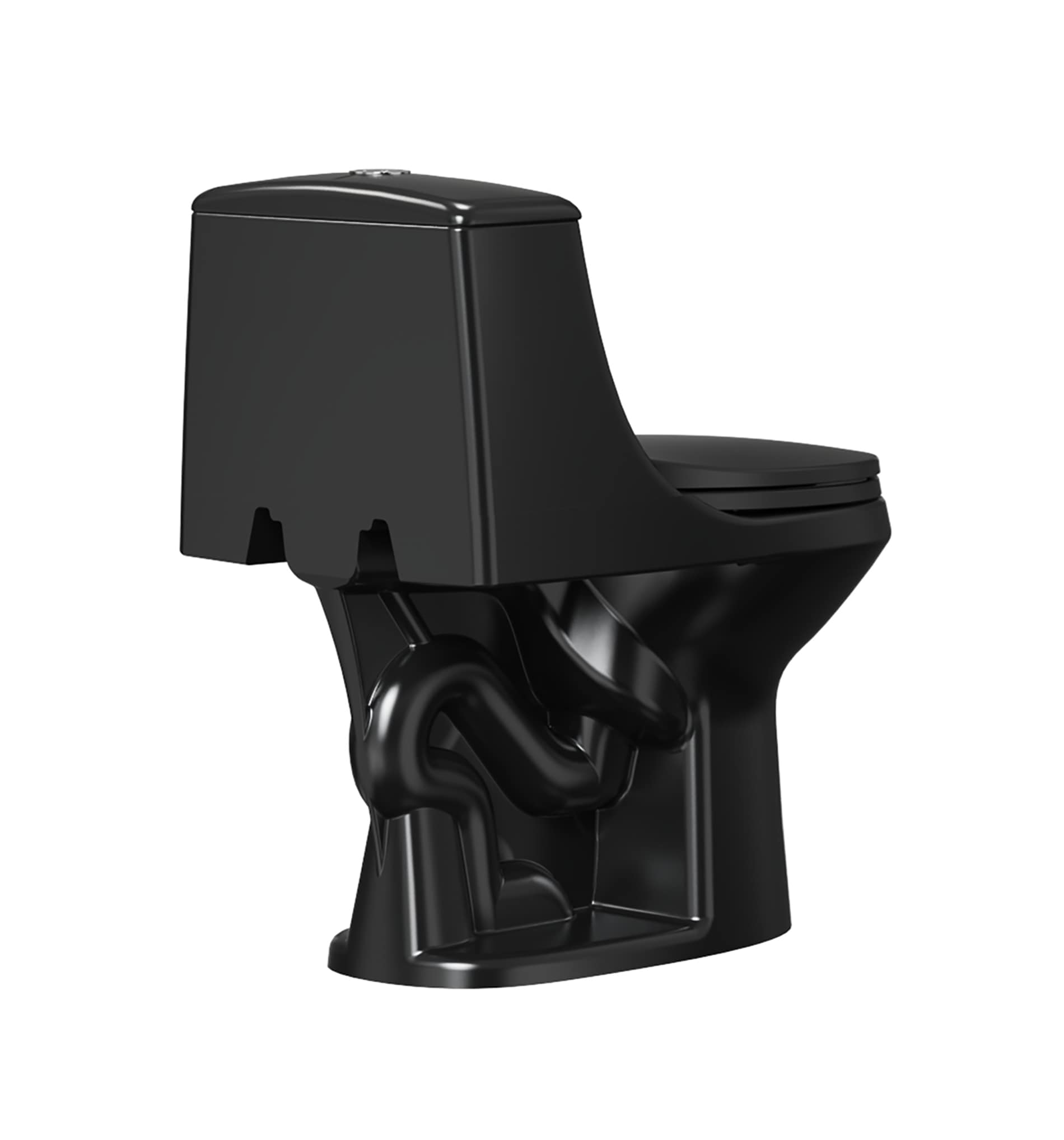 Project Source Laporte Black Dual Flush Elongated Chair height 1-piece Toilet 12-in Rough-In WaterSense 1.6 GPF
