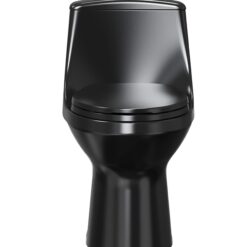 Project Source Laporte Black Dual Flush Elongated Chair height 1-piece Toilet 12-in Rough-In WaterSense 1.6 GPF