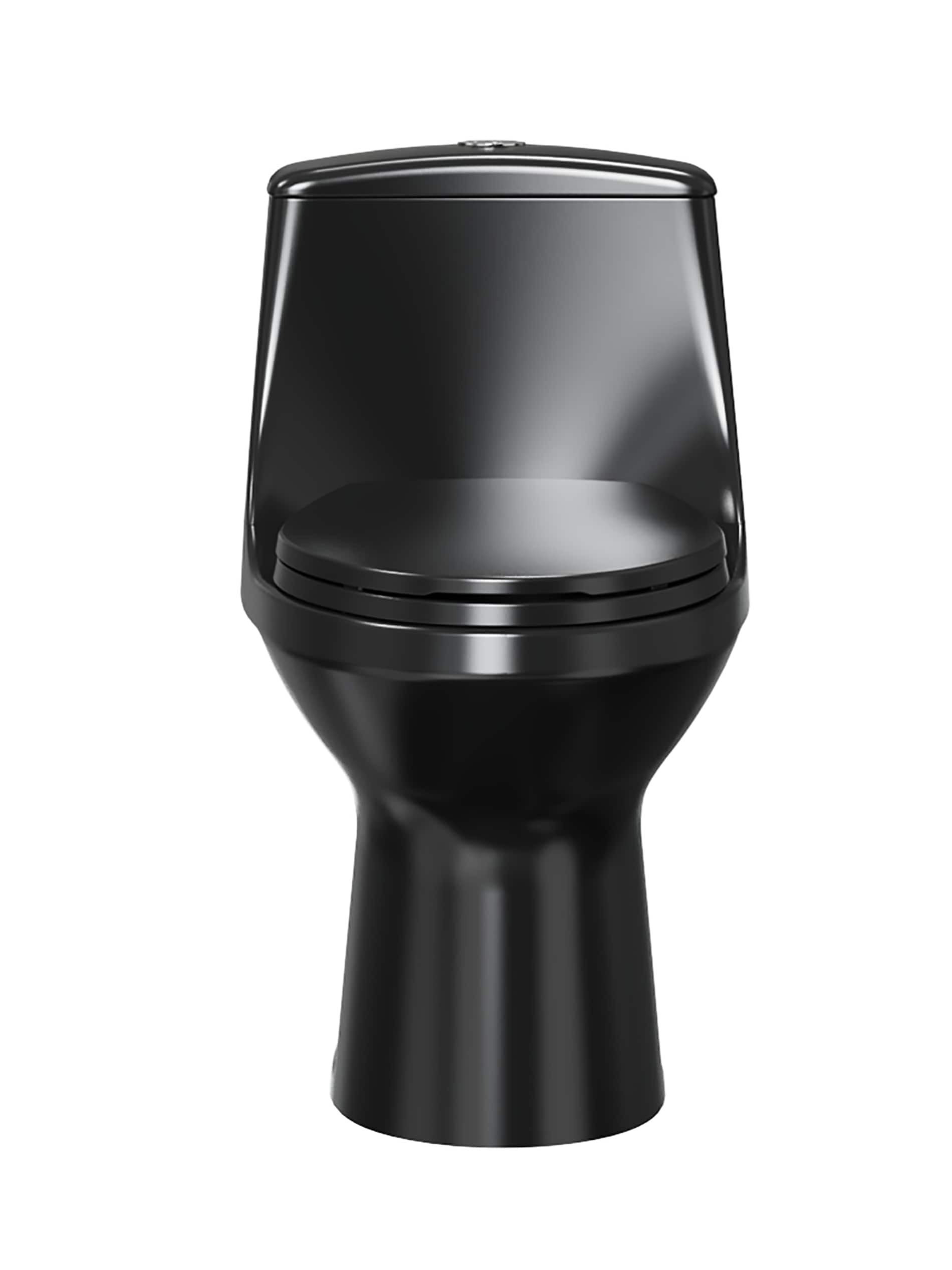 Project Source Laporte Black Dual Flush Elongated Chair height 1-piece Toilet 12-in Rough-In WaterSense 1.6 GPF
