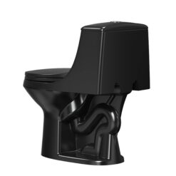 Project Source Laporte Black Dual Flush Elongated Chair height 1-piece Toilet 12-in Rough-In WaterSense 1.6 GPF