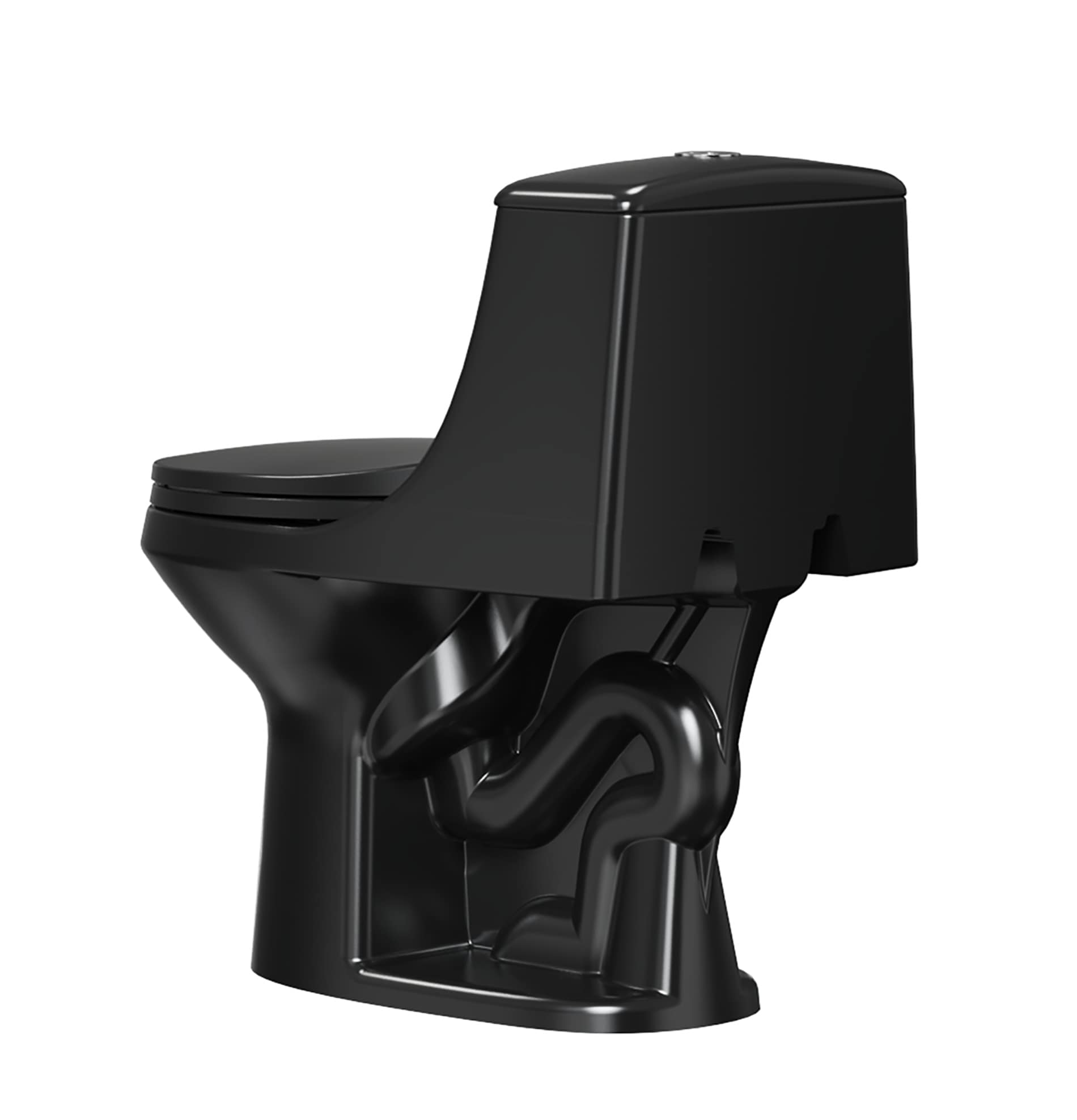 Project Source Laporte Black Dual Flush Elongated Chair height 1-piece Toilet 12-in Rough-In WaterSense 1.6 GPF