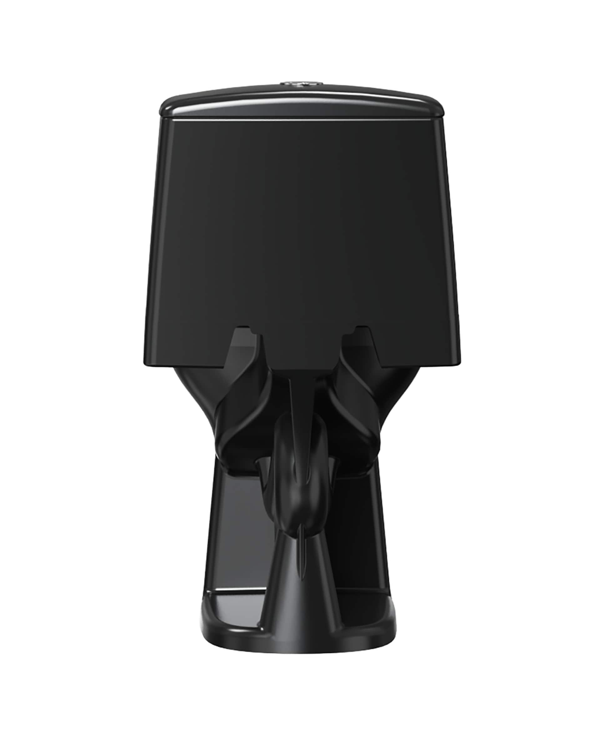 Project Source Laporte Black Dual Flush Elongated Chair height 1-piece Toilet 12-in Rough-In WaterSense 1.6 GPF