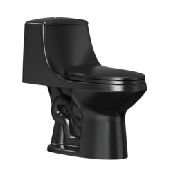 Project Source Laporte Black Dual Flush Elongated Chair height 1-piece Toilet 12-in Rough-In WaterSense 1.6 GPF