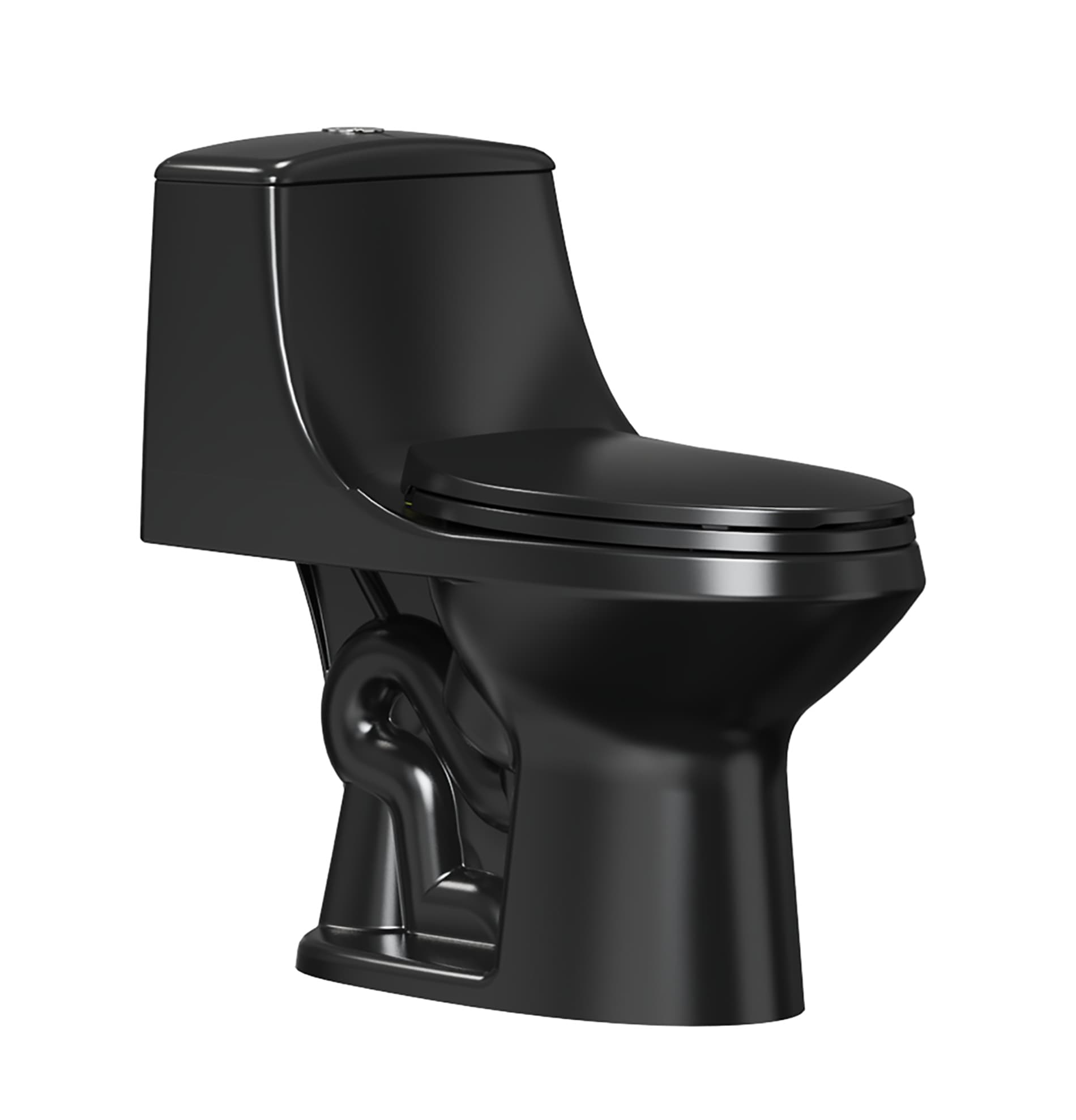 Project Source Laporte Black Dual Flush Elongated Chair height 1-piece Toilet 12-in Rough-In WaterSense 1.6 GPF