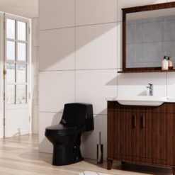 Project Source Laporte Black Dual Flush Elongated Chair height 1-piece Toilet 12-in Rough-In WaterSense 1.6 GPF