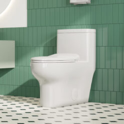 Eridanus Salerno Crisp White Dual Flush Elongated Chair height Soft Close 1-piece Toilet 12-in Rough-In WaterSense 1.6 GPF