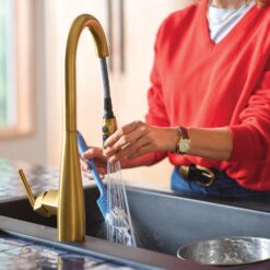 Moen Maureen Brushed Gold Single Handle Deck-mount Pull-down Kitchen Faucet with Sprayer