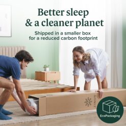 ZINUS 12 Inch Green Tea Memory Foam Mattress, Fiberglass free, Medium Firm Feel, Zoned Pressure Relief, Queen