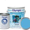 Olympic Pool Paint - Zeron - Bikini Blue - 1 Gallon - two-part epoxy swimming pool paint - one-coat for plaster