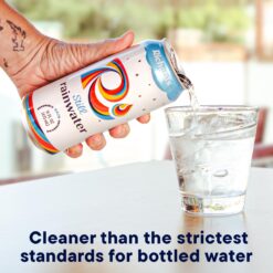 Richard's Rainwater Still Canned Water, 100% Rain, Naturally Purified Drinking Water (16 fl oz Aluminum Cans, Pack of 12)
