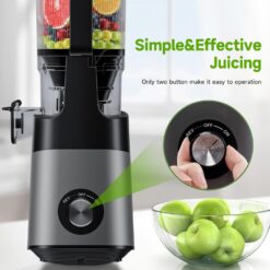 LUIXXN Cold Press Juicer, 5.8