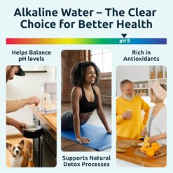 Invigorated Water PH001 - White Alkaline Water Filter, Replacement Filters for All Invigorated Water Pitcher – 96 Gallons/Filter (3-Pack)