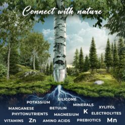 Nordic Tree Water 100% USDA Organic Birch Tree Sap – Electrolytes, Minerals, Prebiotics & Vitamins, Sustainable Product of Finland
