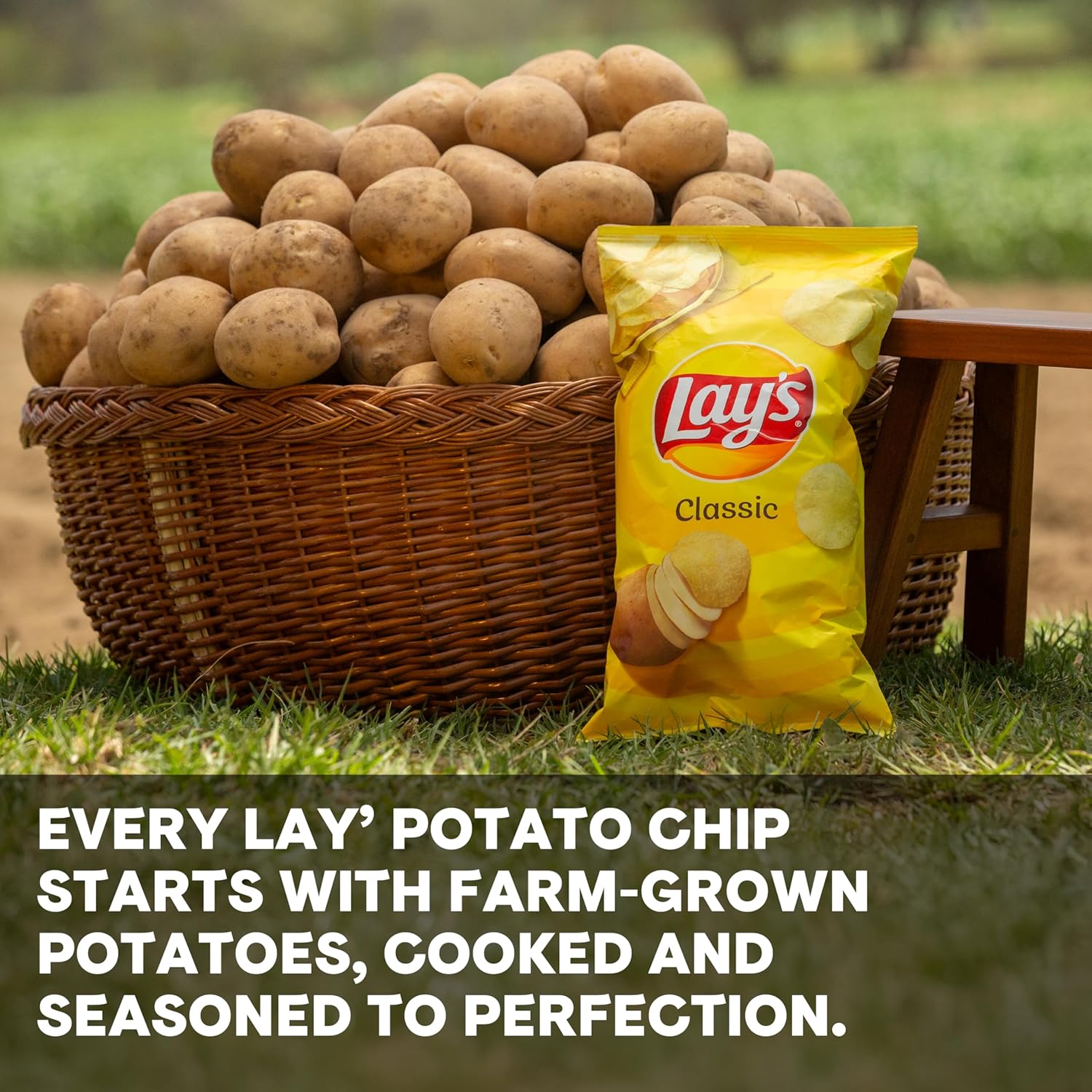 Lay's Barbecue Flavored Potato Chips, 40 Count