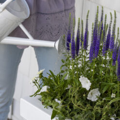 Step 2 Atherton Self-Watering Planter Box, White