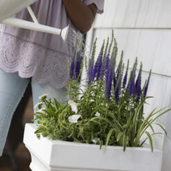 Step 2 Atherton Self-Watering Planter Box, White