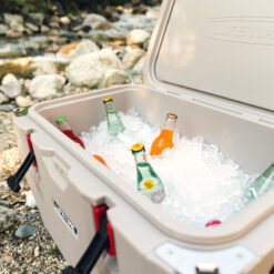 Lifetime 65 Quarts Ice Chest