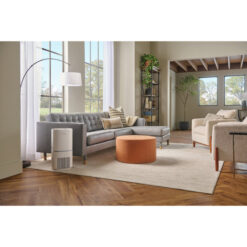 Frigidaire HEPA Air Purifier XL With Wifi