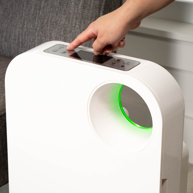 OVAL AIR 3-Stage H13 True HEPA 5-in-1 Air Purifier reduces Allergies, Asthma, Pets, Odor, Smoke, White