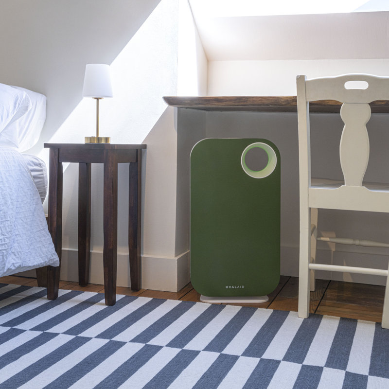 OVAL AIR 3-Stage H13 True HEPA 5-in-1 Air Purifier reduces Allergies, Asthma, Pets, Odor, Smoke, Cypress Creek Green