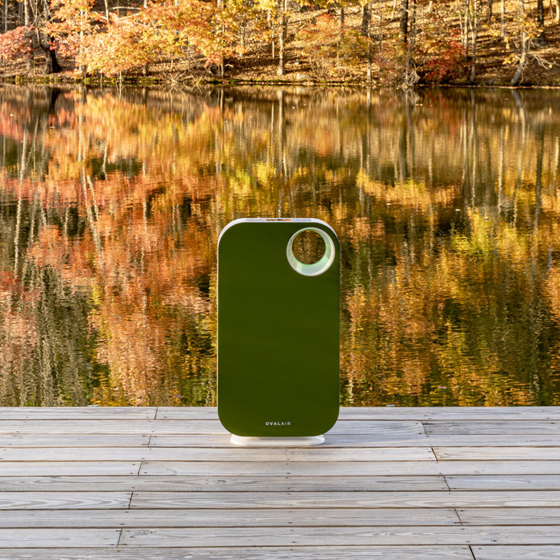 OVAL AIR 3-Stage H13 True HEPA 5-in-1 Air Purifier reduces Allergies, Asthma, Pets, Odor, Smoke, Cypress Creek Green