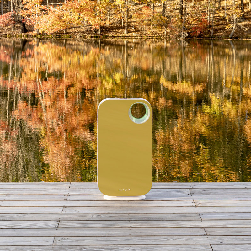 OVAL AIR 3-Stage H13 True HEPA 5-in-1 Air Purifier reduces Allergies, Asthma, Pets, Odor, Smoke, Vintage Buttercup Yellow