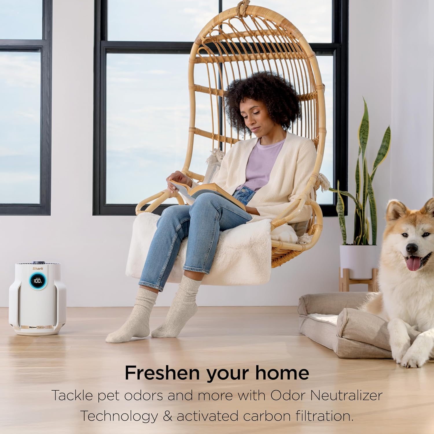 Shark NeverChange Air Purifier Compact Pro, Long-Lasting HEPA-Exceeding Filtration, HP072