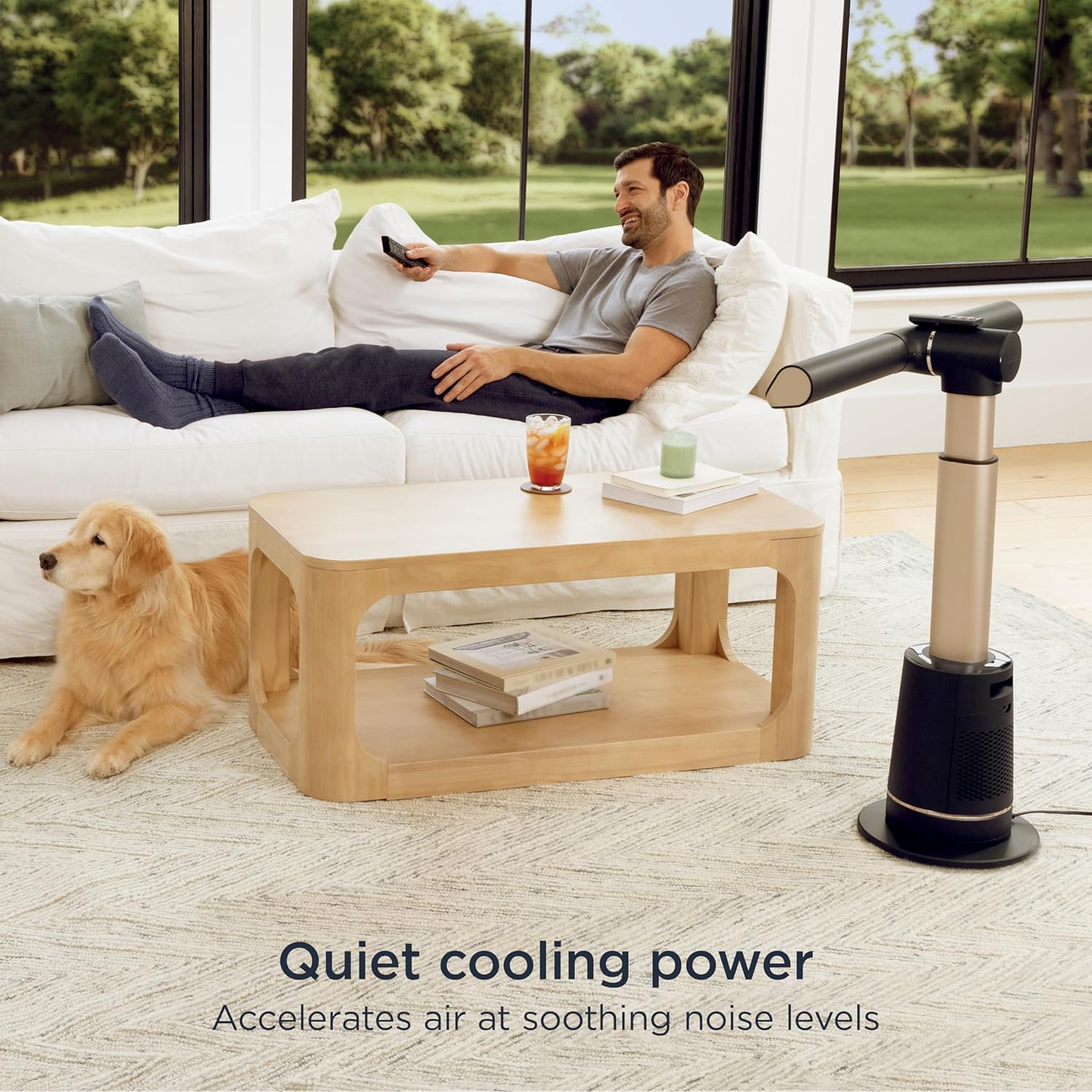 Shark TurboBlade Flex Breeze Tower Fan (TF202S)