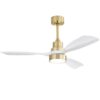 Sofucor 48 in. Indoor/Outdoor Wood Gold Ceiling Fan with 3 Color LED Light and 6 Speed DC Motor HL-48K006-BGWH
