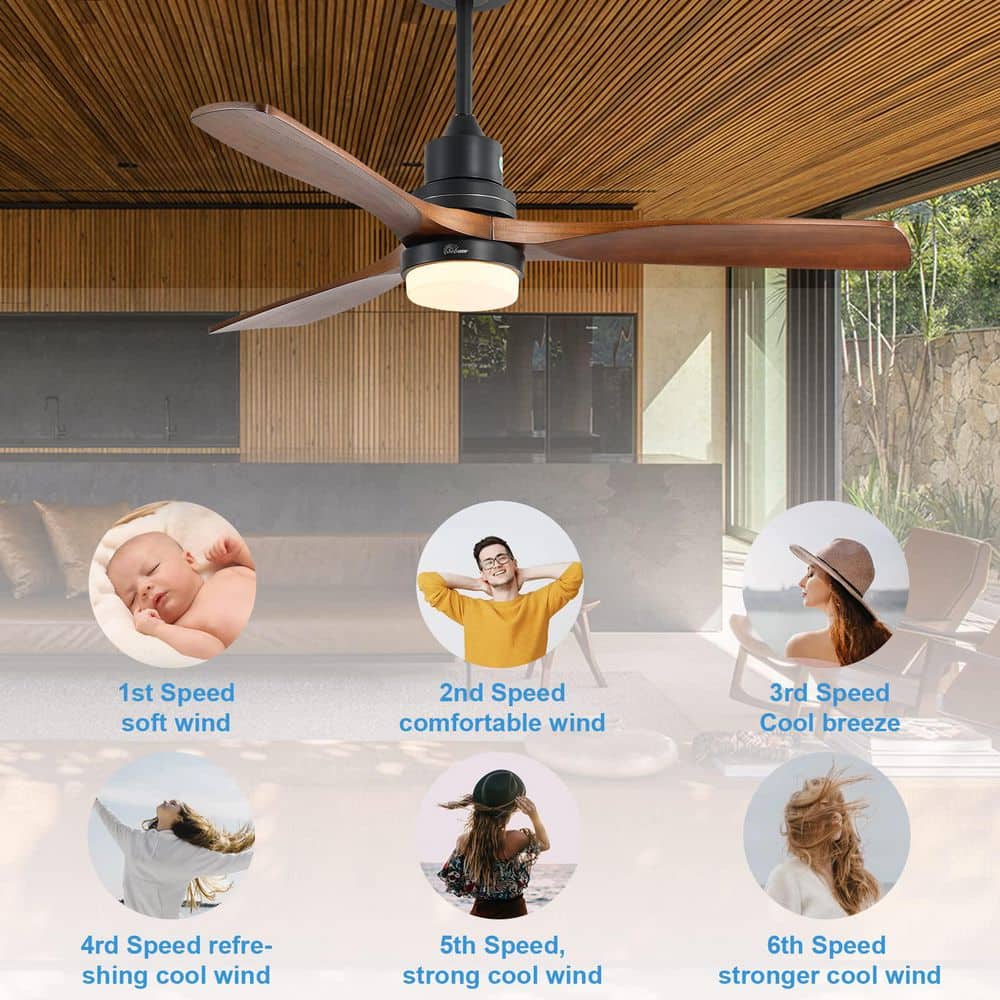 Sofucor 52 in. Integrated LED Indoor/Outdoor Black Ceiling Fan with Light Kit and Remote Control KYL5247BKHTM