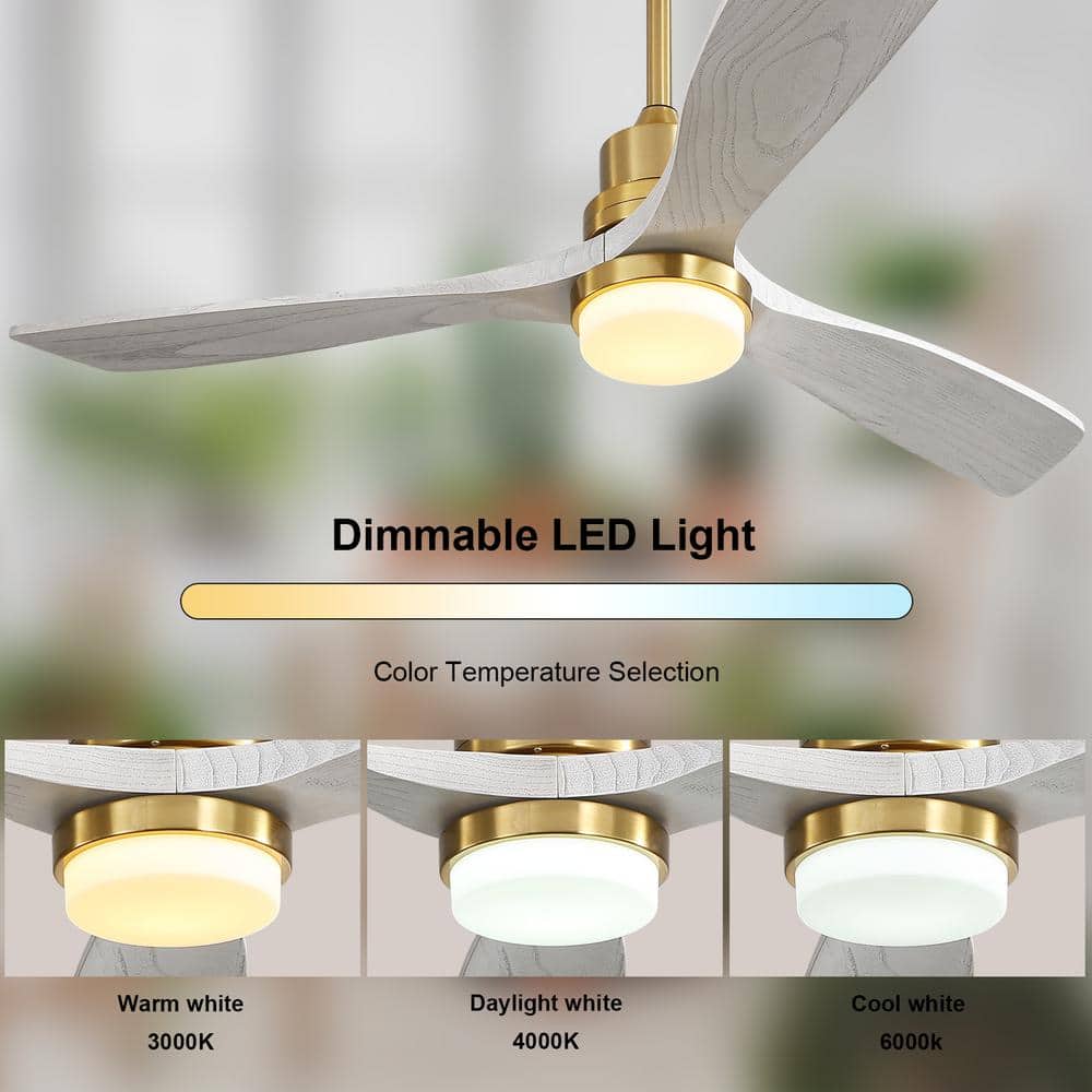 Sofucor 52 in. Integrated LED Indoor/Outdoor Gold Ceiling Fan with Light Kit and Remote Control KYL5247BGSX