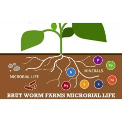 Brut Worm Farms Organic Worm Castings Soil Builder, 30 lbs. Bag (6-Pack) 6 x IC-PNPE-MSK3