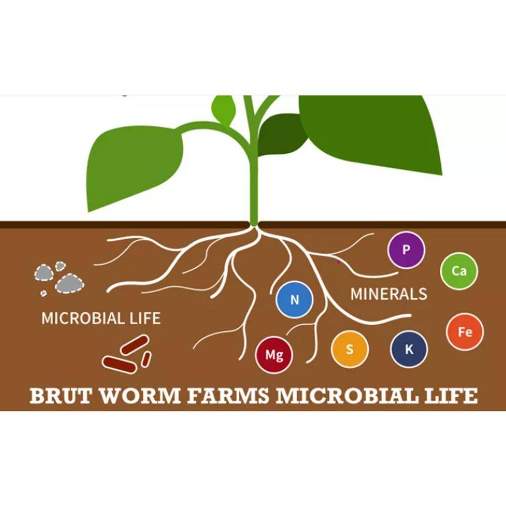 Brut Worm Farms Organic Worm Castings Soil Builder, 30 lbs. Bag (6-Pack) 6 x IC-PNPE-MSK3