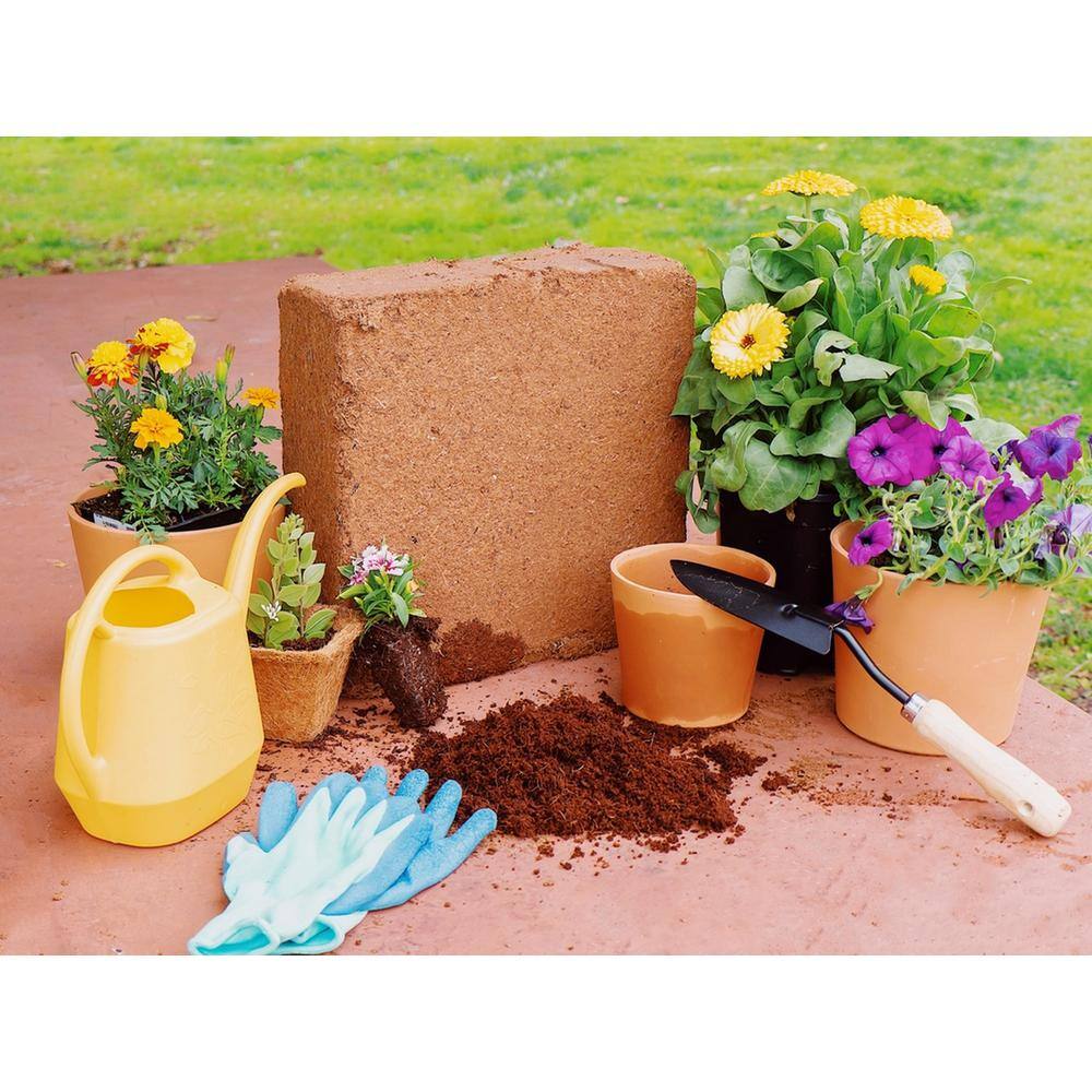 Envelor 10 lbs. Organic Coco Block Coir Brick Potting Soil (4-Pack) EN-CGM-11-4