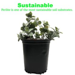 Viagrow 4 cu. ft. of Perlite (2-Pack) VPER4-2
