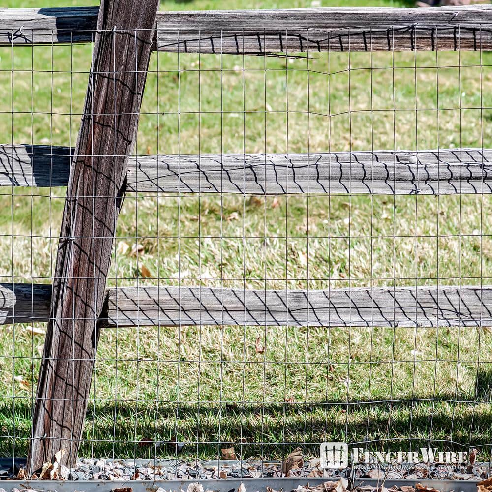 Fencer Wire 6 ft. x 100 ft. 12.5-Gauge Welded Wire Fence with Mesh 2 in. x 4 in. WB125-6X100M24