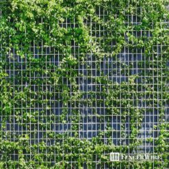 Fencer Wire 4 ft. x 100 ft. 16-Gauge Welded Wire Fence, Mesh Size 1/2 in. x 1 in., Multiple Use Galvanized Welded Wire Roll WB16-4X100MH1