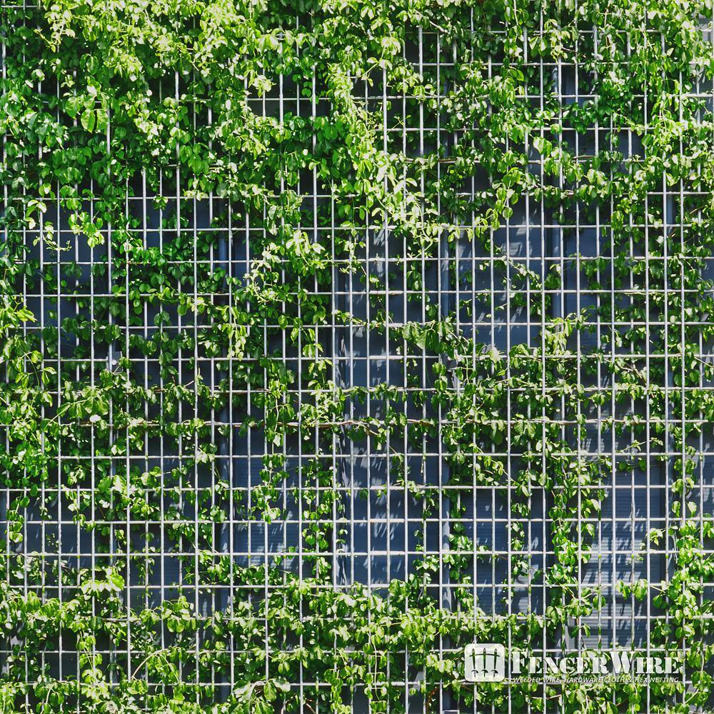 Fencer Wire 4 ft. x 100 ft. 16-Gauge Welded Wire Fence, Mesh Size 1/2 in. x 1 in., Multiple Use Galvanized Welded Wire Roll WB16-4X100MH1