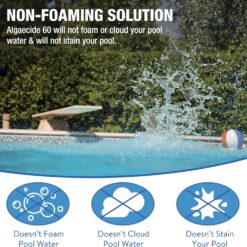 Doheny's Algaecide 60, Pro-Grade, Metal-Free & Non-Foaming, Prevents All Algae Types, No Stains or Clouding, 4 x 40oz (160oz)