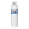 Flame King 60LB POL Steel Propane Tank LP Refillable Cylinder for RVs and Lunch Trucks, White