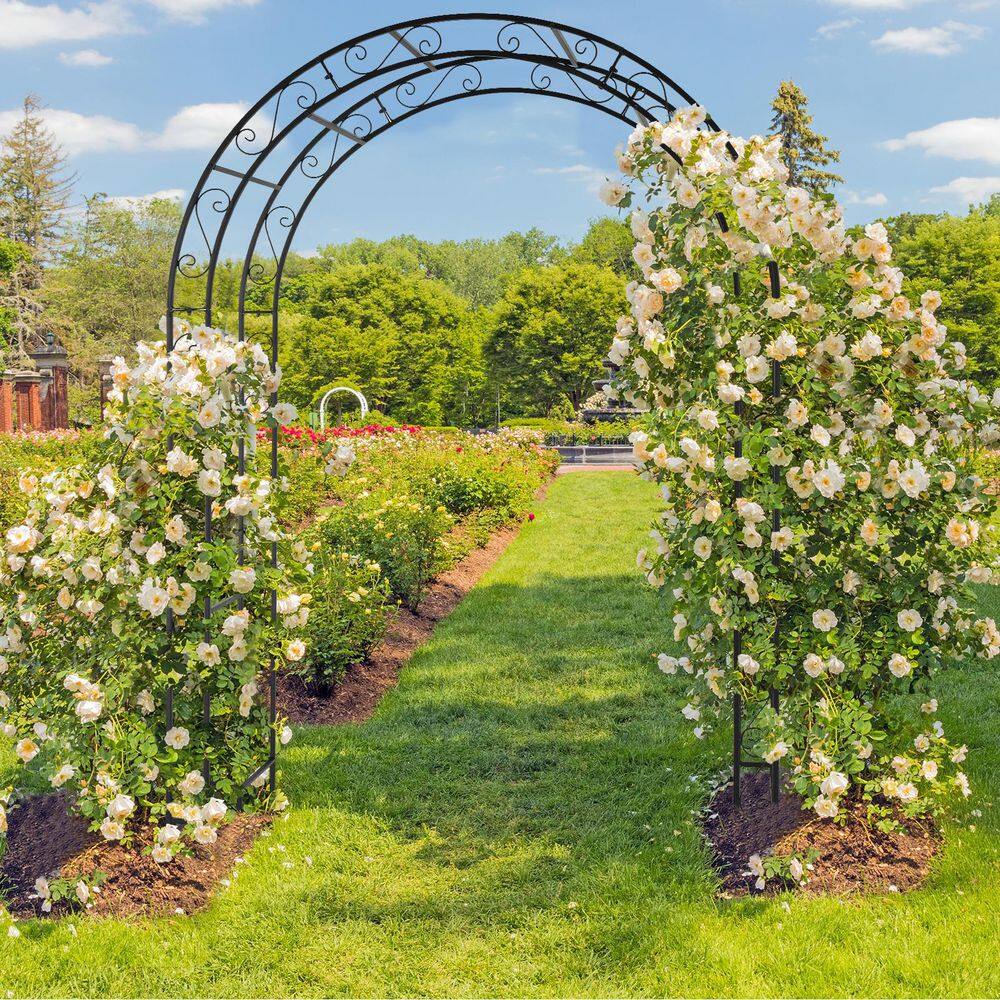 Karl home 84 in. x 59 in. Iron Garden Arbor